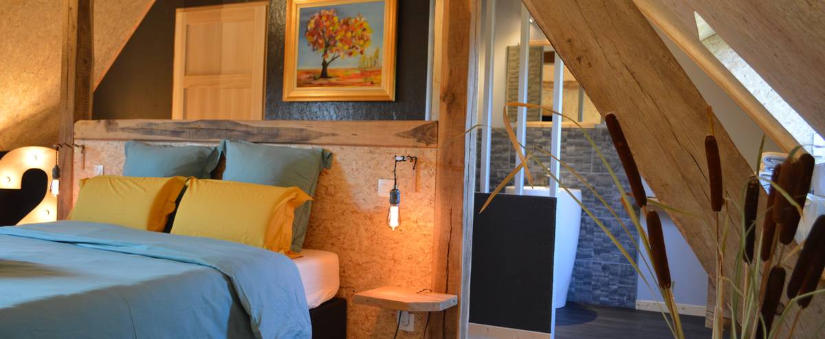 Chambre d'hôtes avec salle de bain ouverte